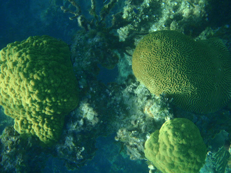 P1140056