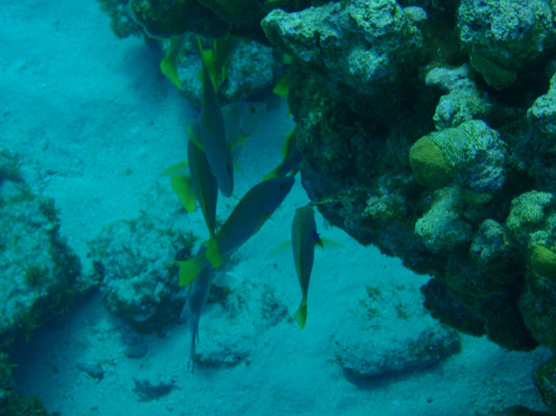 P1150116