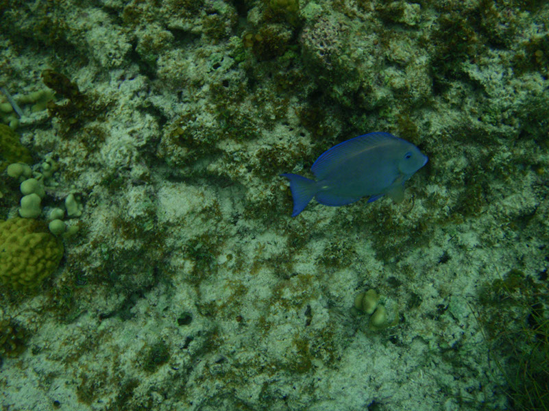 P1140091