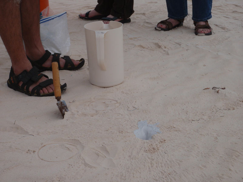 P1120021
