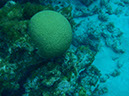 P1150119