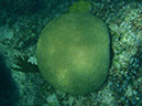 P1140053