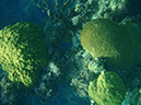 P1140056