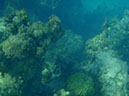 P1140050