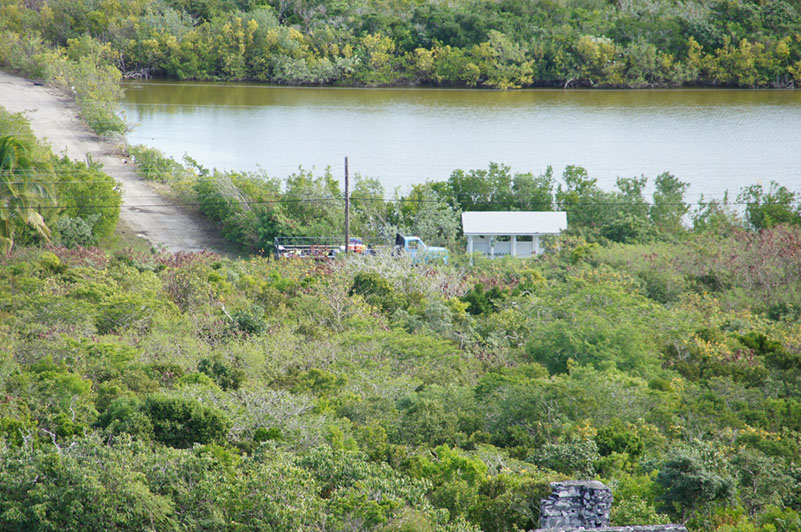 DSC01926