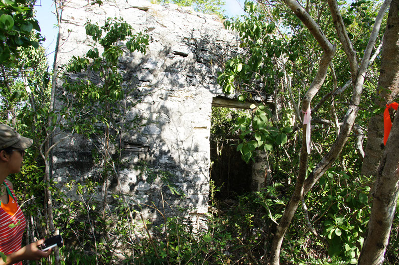 DSC01884
