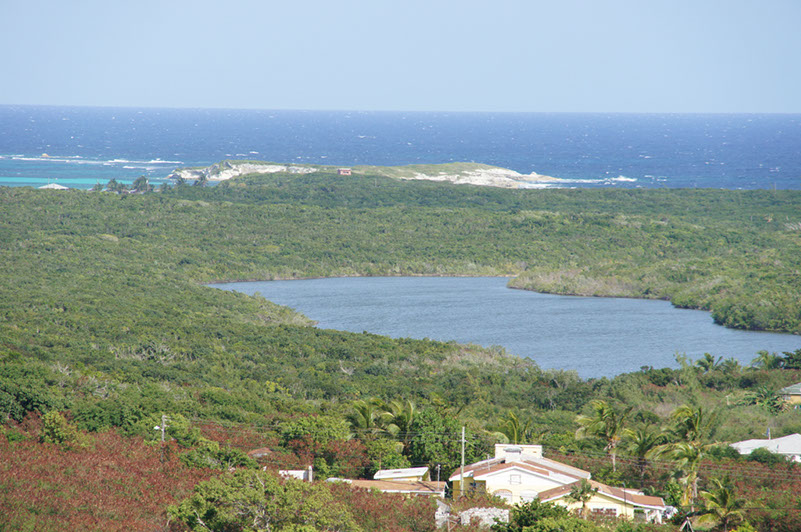 DSC01920