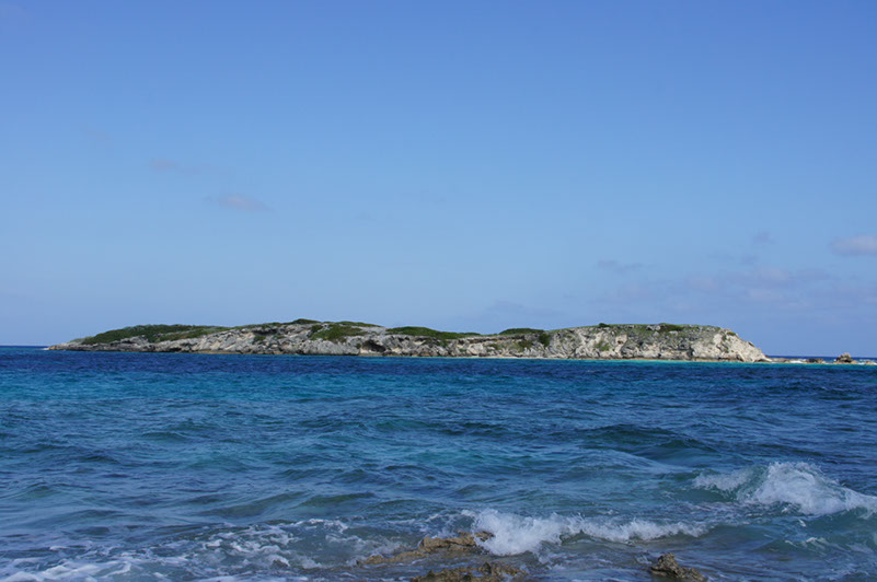 DSC01834