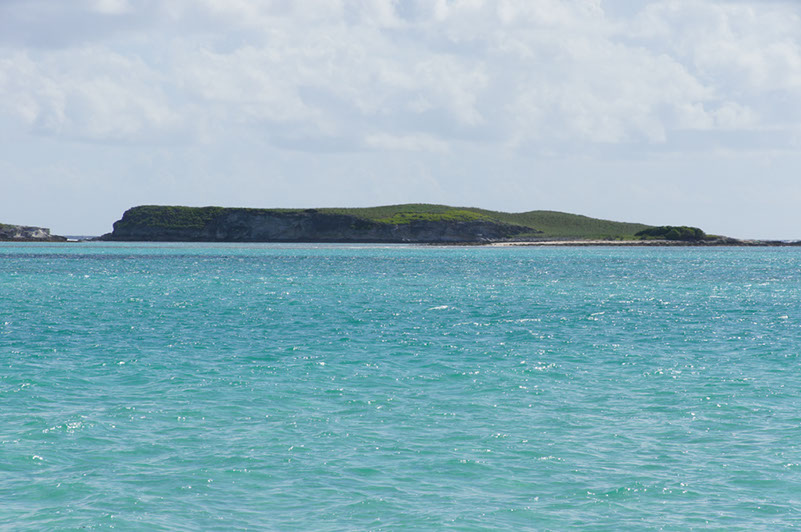 DSC02267