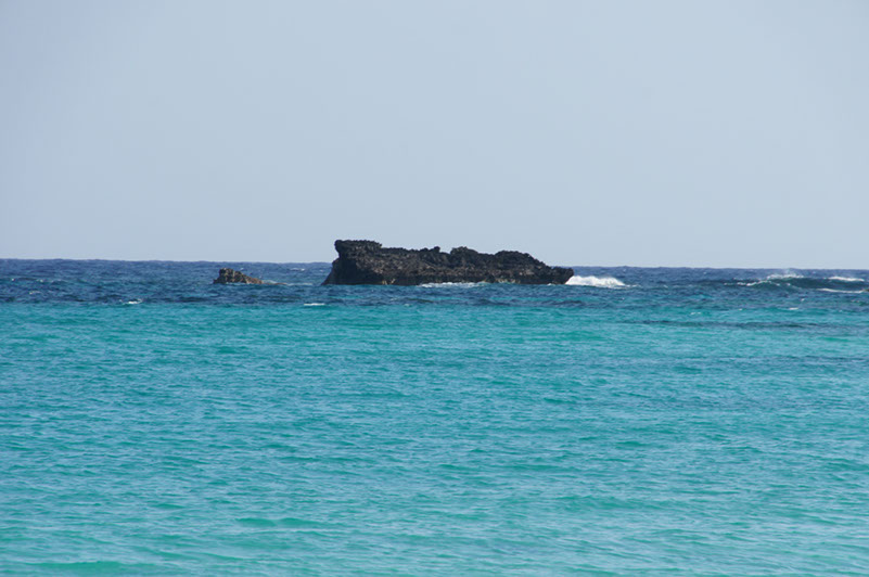 DSC01800