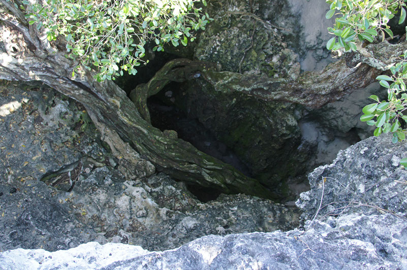 DSC02179