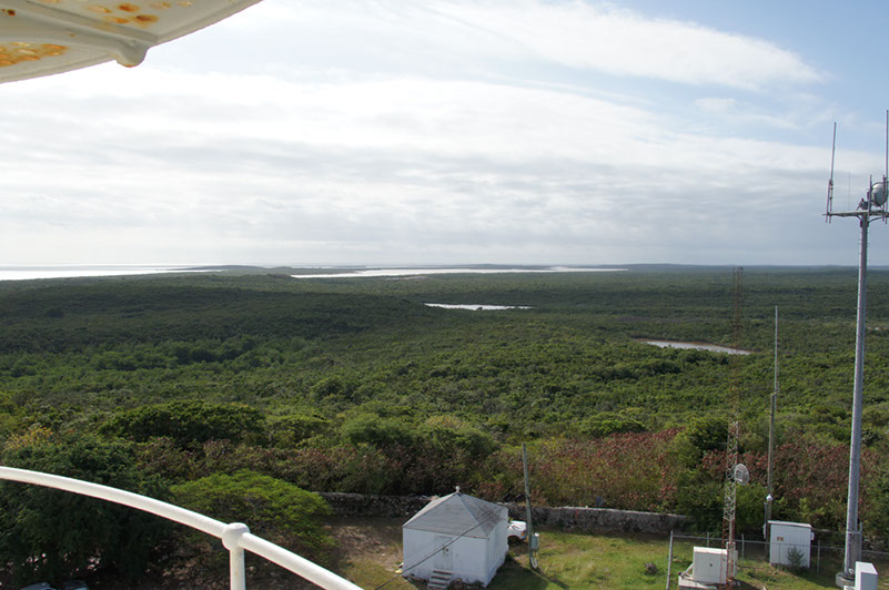 DSC01922