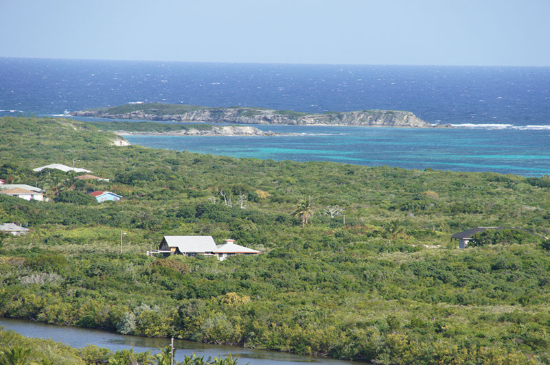 DSC01921