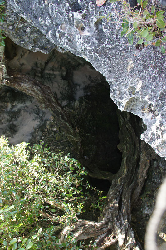 DSC02178