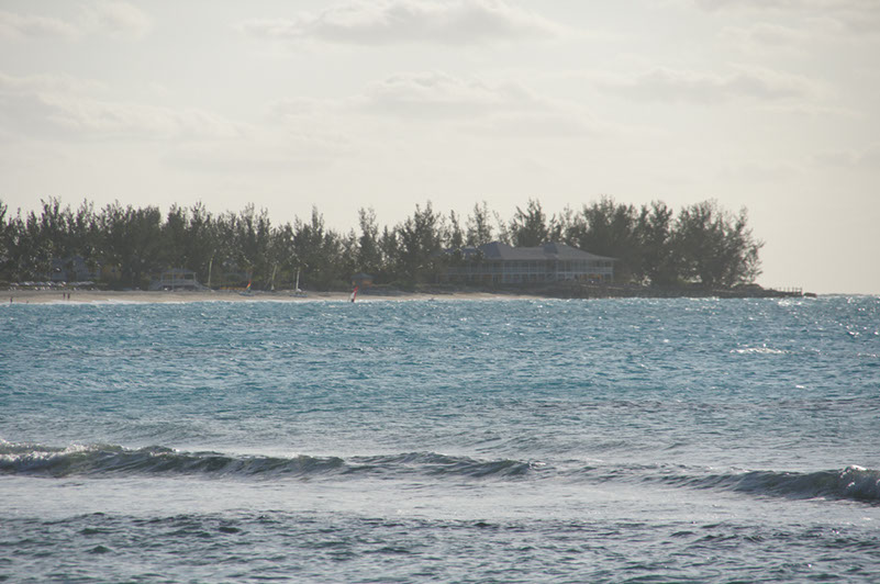 DSC01993
