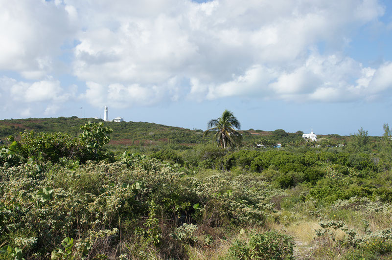 DSC01861