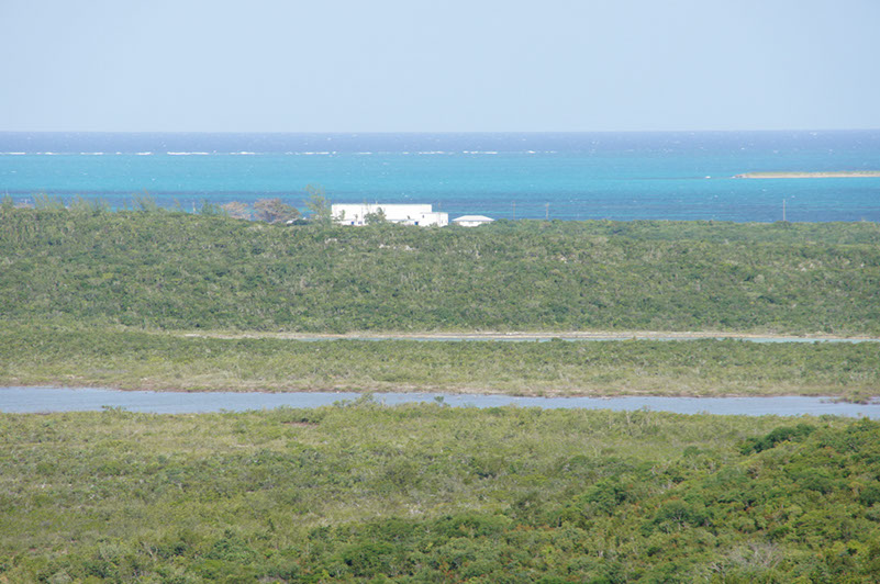 DSC01918
