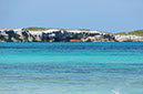 DSC01837