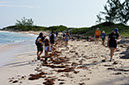 DSC01806