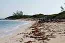 DSC01799