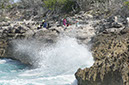 DSC01988
