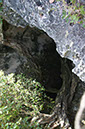 DSC02178