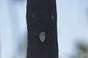 DSC02261