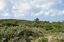 DSC01861