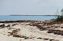 DSC01896