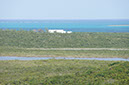 DSC01918
