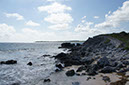 DSC01830