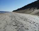 00CapeCod08.jpg
