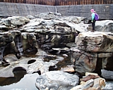 shelburnefalls01.jpg