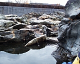 shelburnefalls25.jpg