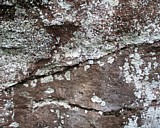sugarloaf24.jpg