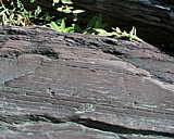 turnersfalls23.jpg