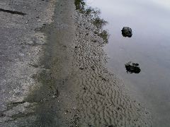 P9040013.JPG