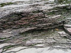 P9040026.JPG