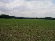 TurkeyHill - 07