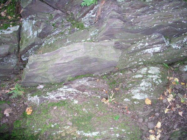 Mt_Holyoke_001