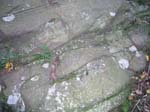 Mt_Holyoke_011