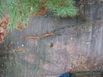 Quabbin_010