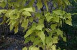Route_5_047a