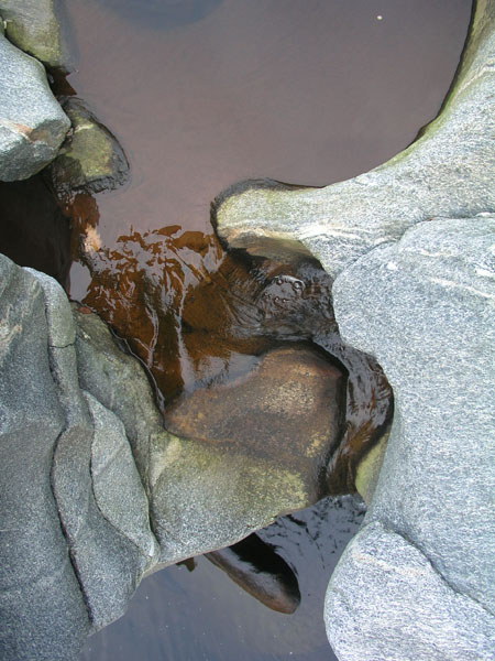 Shelburne_Falls_010