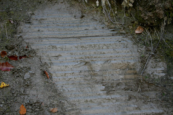 Sugarloaf_014b