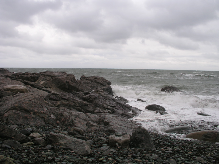 P1010082.JPG