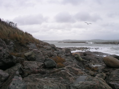 P1010086.JPG
