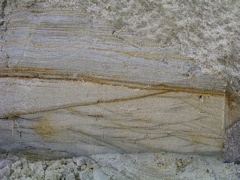 P1010036.JPG