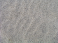 P1010025.JPG