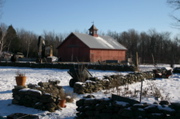 IMG_8085.JPG